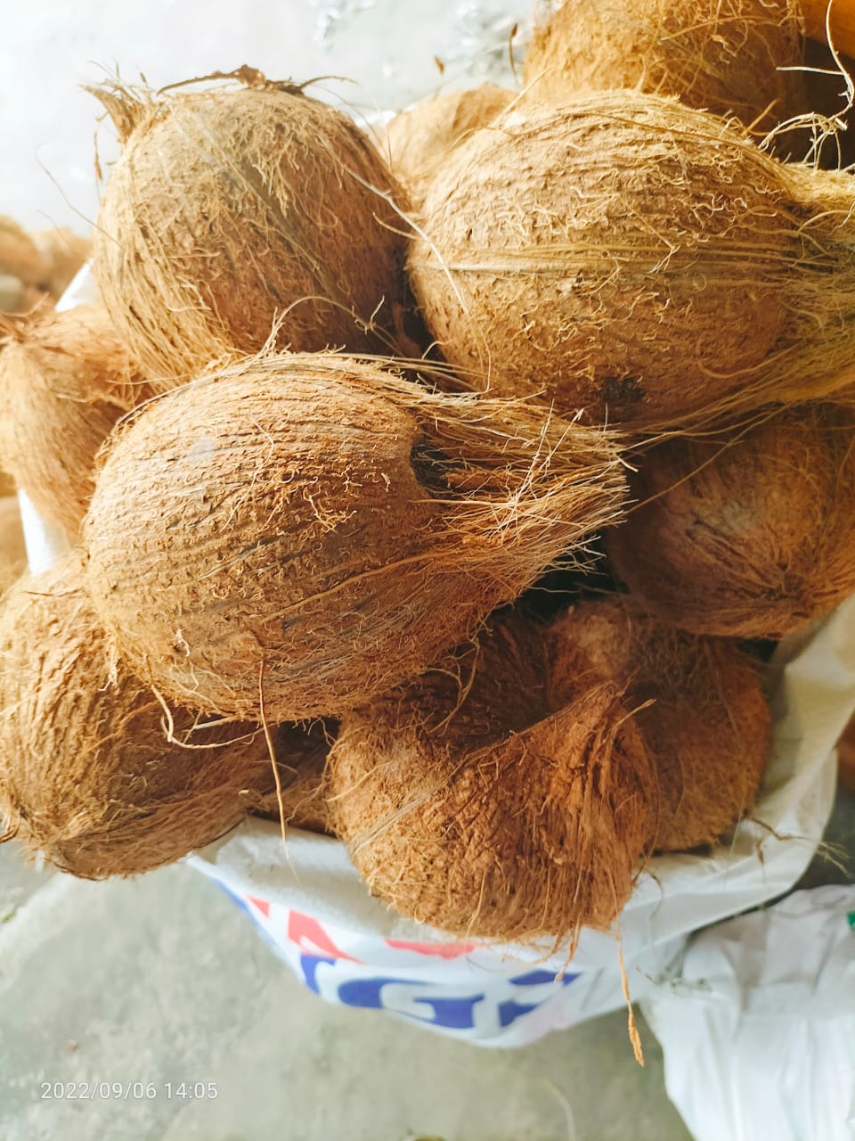 Coconut pile