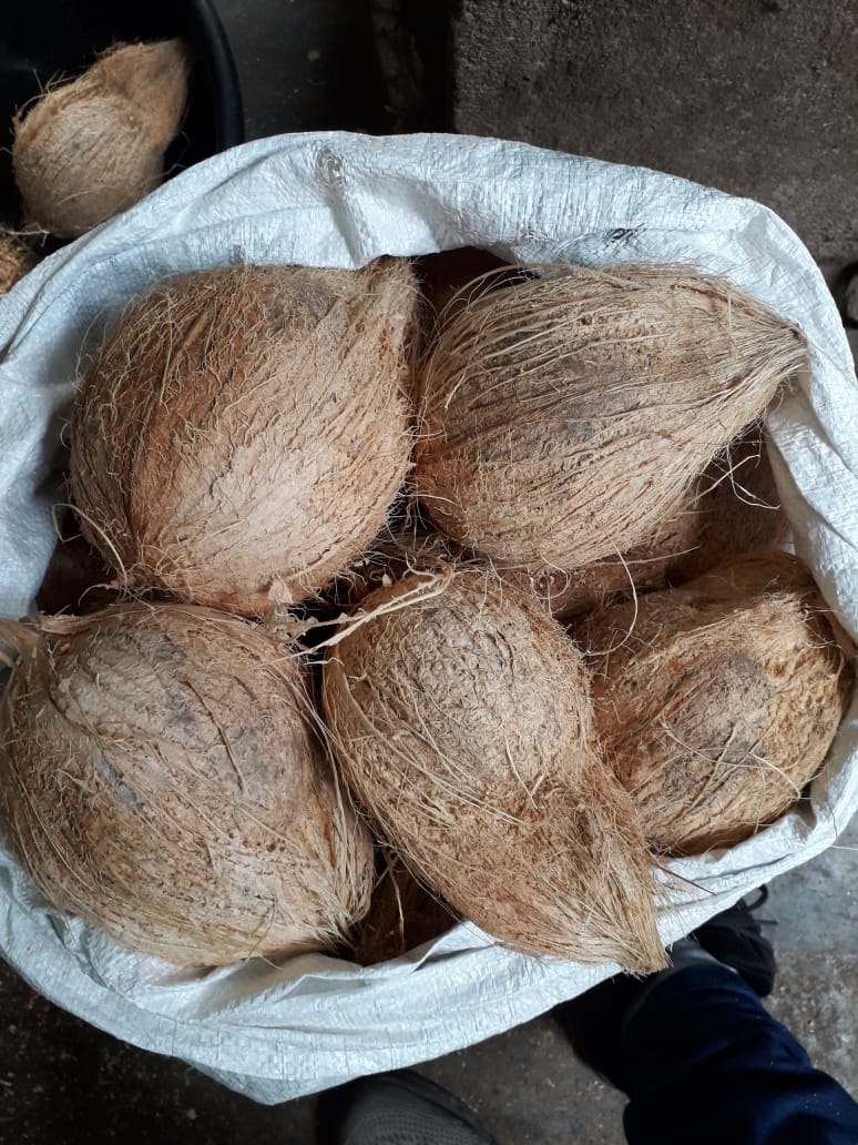 Fresh coconuts in bag