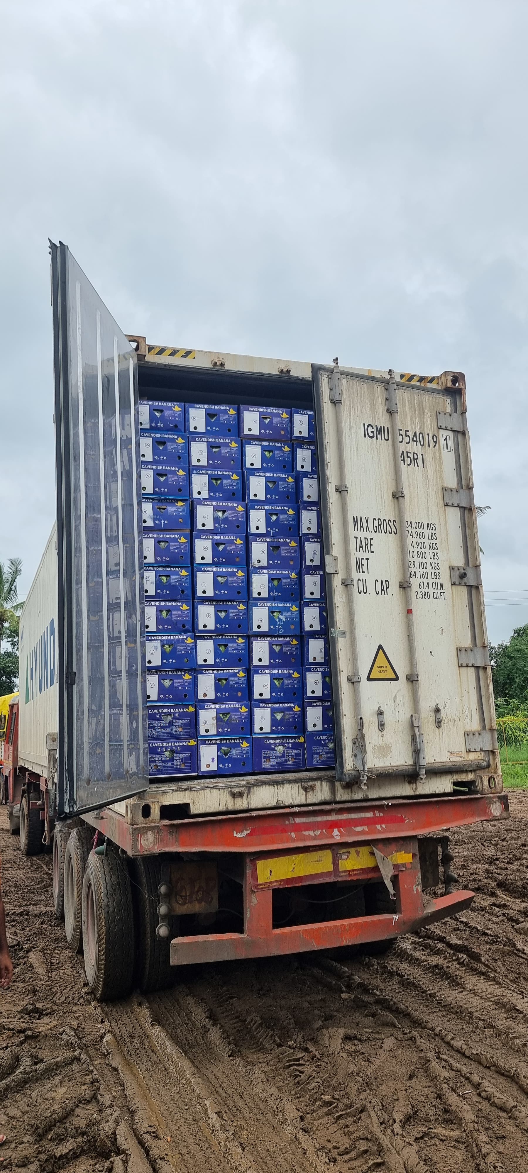 Container loaded with boxed produce