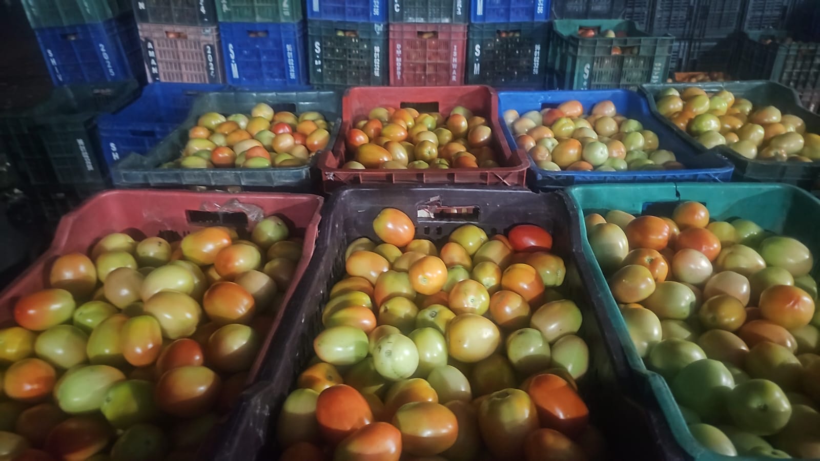 Fruit crates in storage