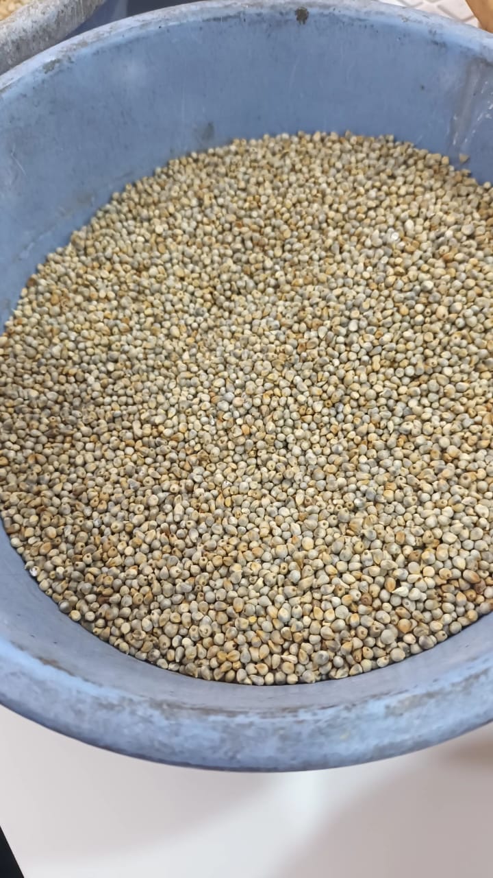 Grain/seed product close-up