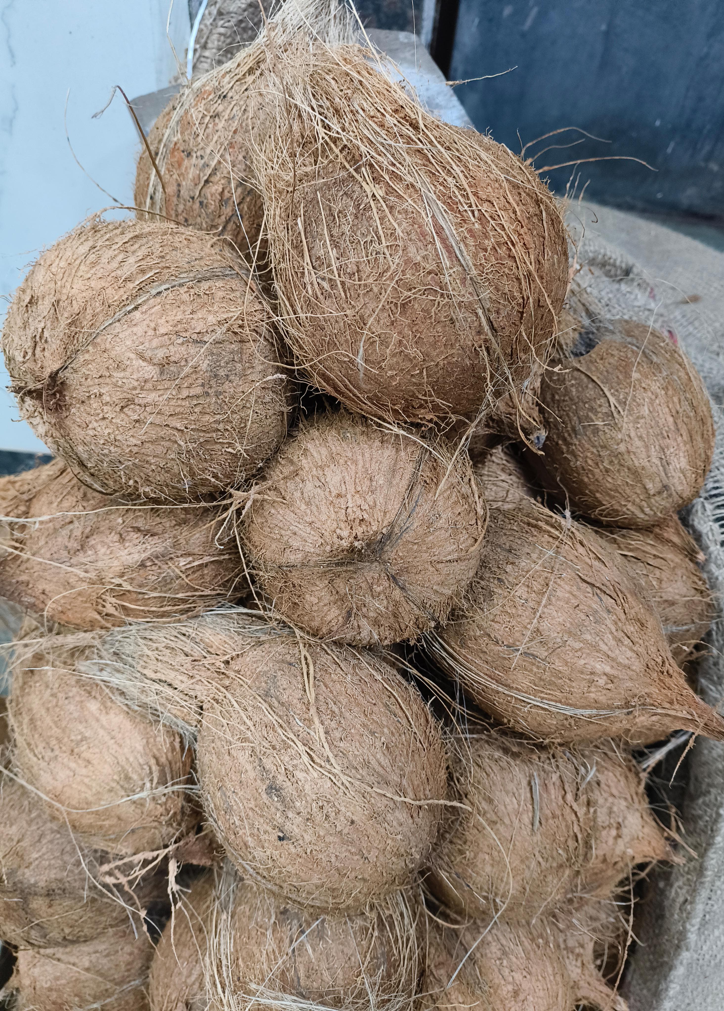Coconuts stacked together