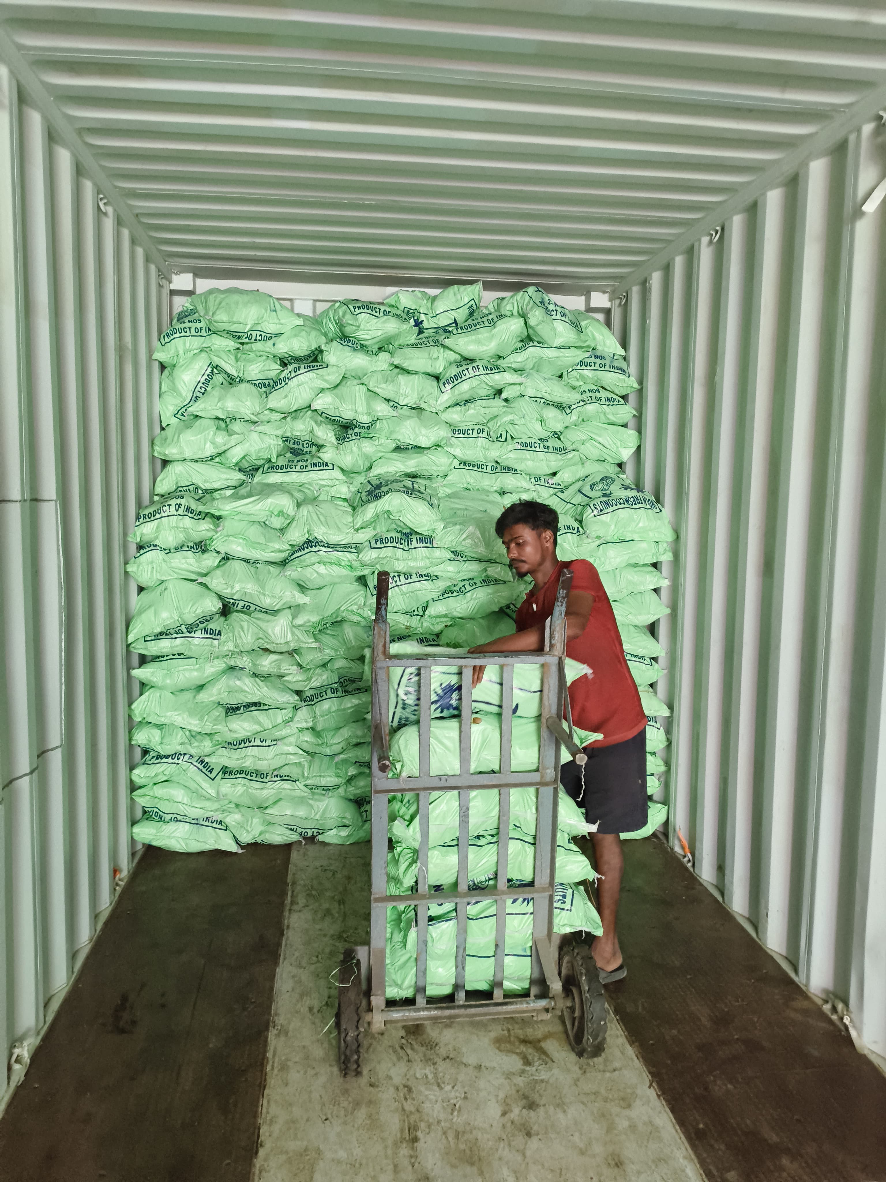 Export container loaded with green agricultural produce sacks