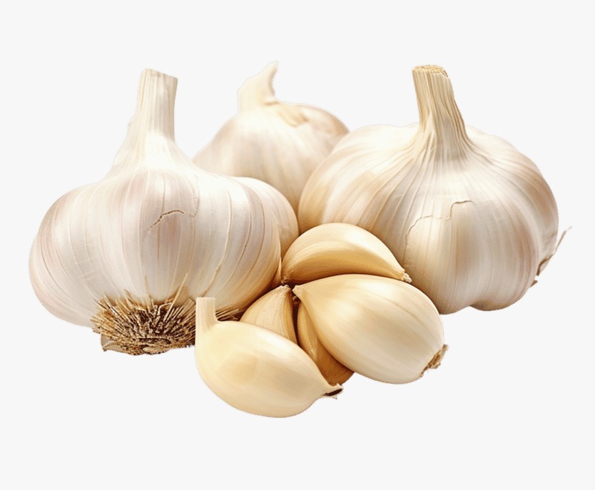 China Garlic