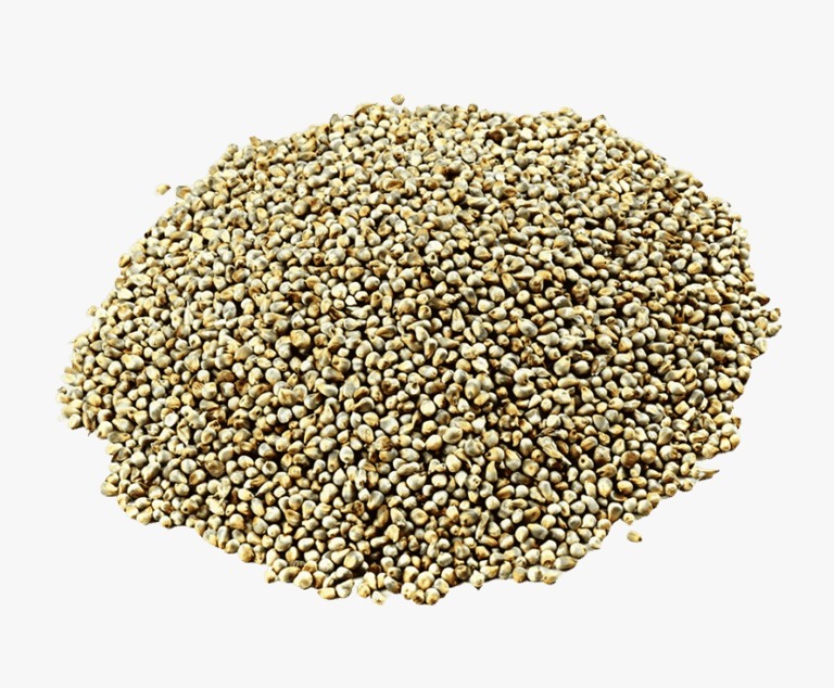 Green Millets Bajra