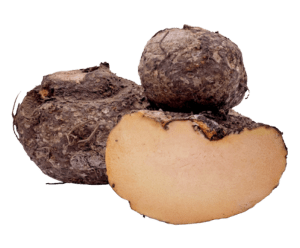 Suran Elephant Foot Yam
